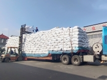 把握機(jī)遇、鉚足干勁、承勢而上
