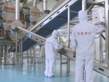 2025年的第一個月，承德亞歐果仁有限公司在山杏產(chǎn)業(yè)的道路上持續(xù)奮進(jìn)，展現(xiàn)出蓬勃的發(fā)展活力。
